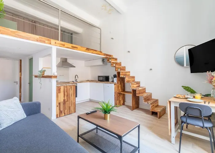 Duplex Lumineux Centre Ville