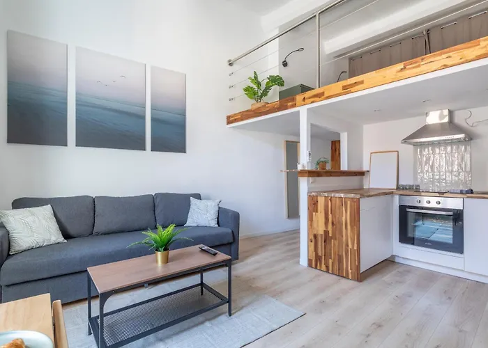 Duplex Lumineux Centre Ville
